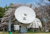 [6-m Millimeter Radio Telescope in Mitaka, Japan]