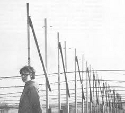 [Jocelyn Bell Burnell and Cambridge antenna used in pulsar discovery]
